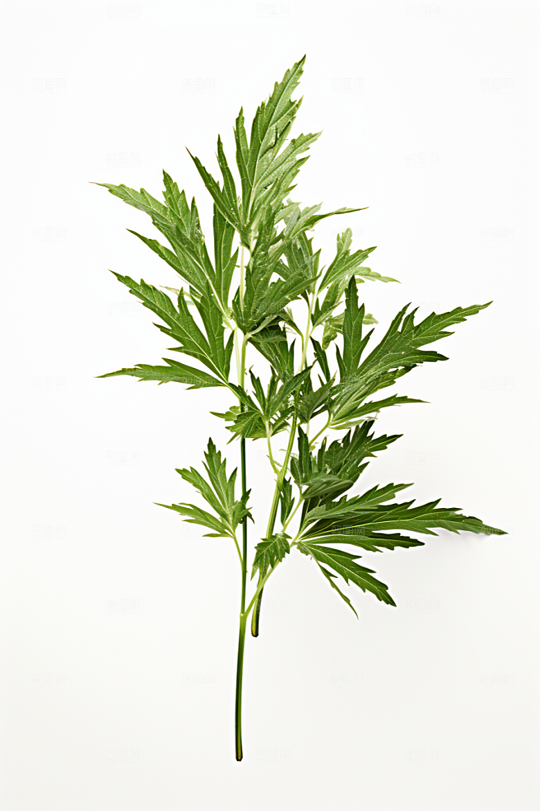 艾草糯米团传统文化摄影图