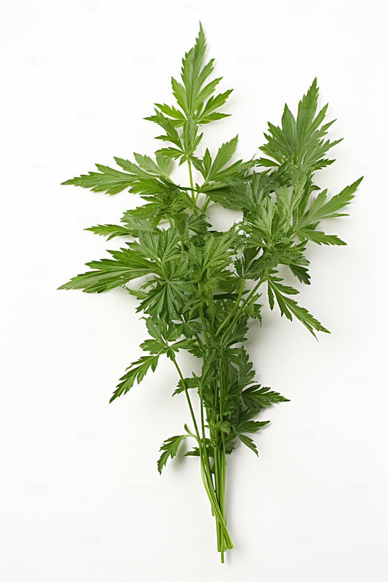 艾草传统文化美食摄影图