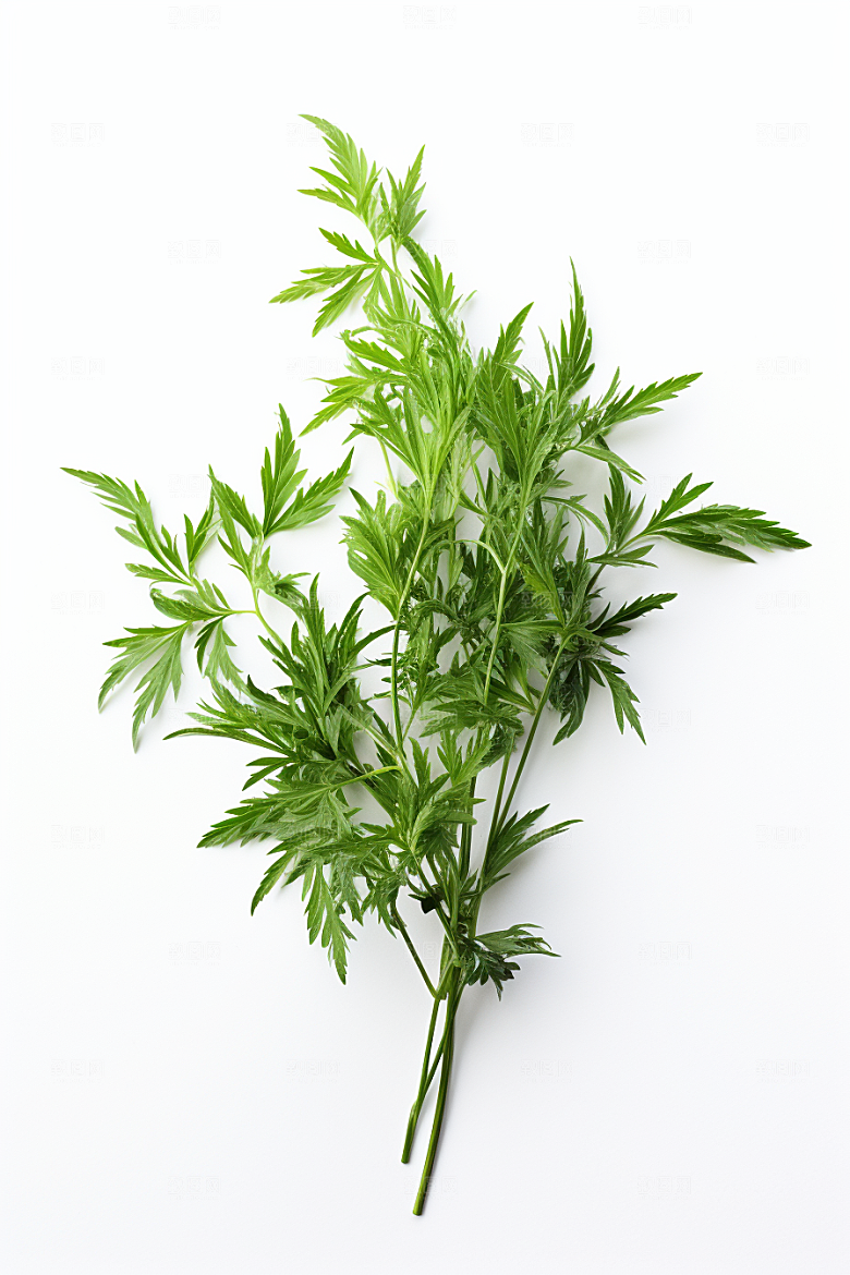 艾草传统文化糯叽叽摄影图