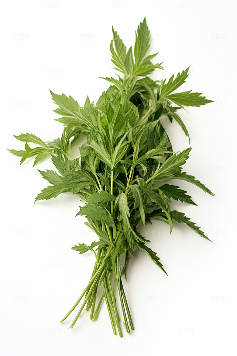艾草高清蒿草摄影图