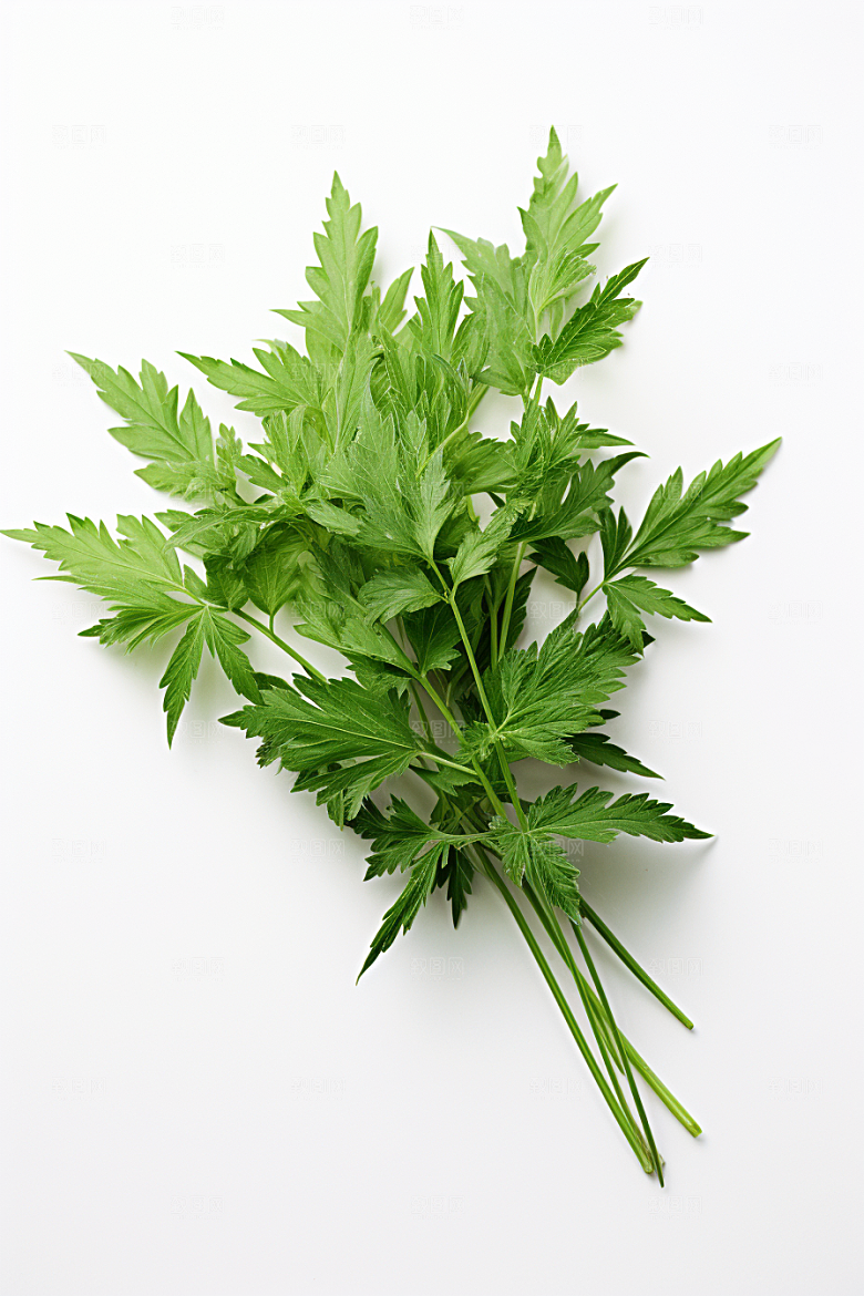 艾草美食传统文化摄影图
