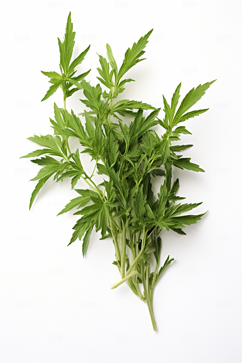 艾草清明美食摄影图