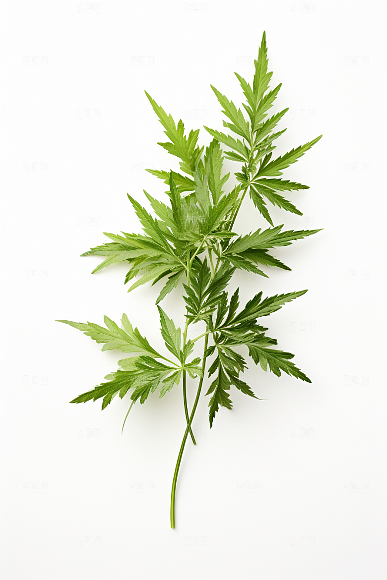 艾草高清中式糕点摄影图