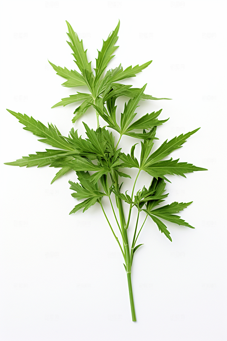 艾草美食青团摄影图