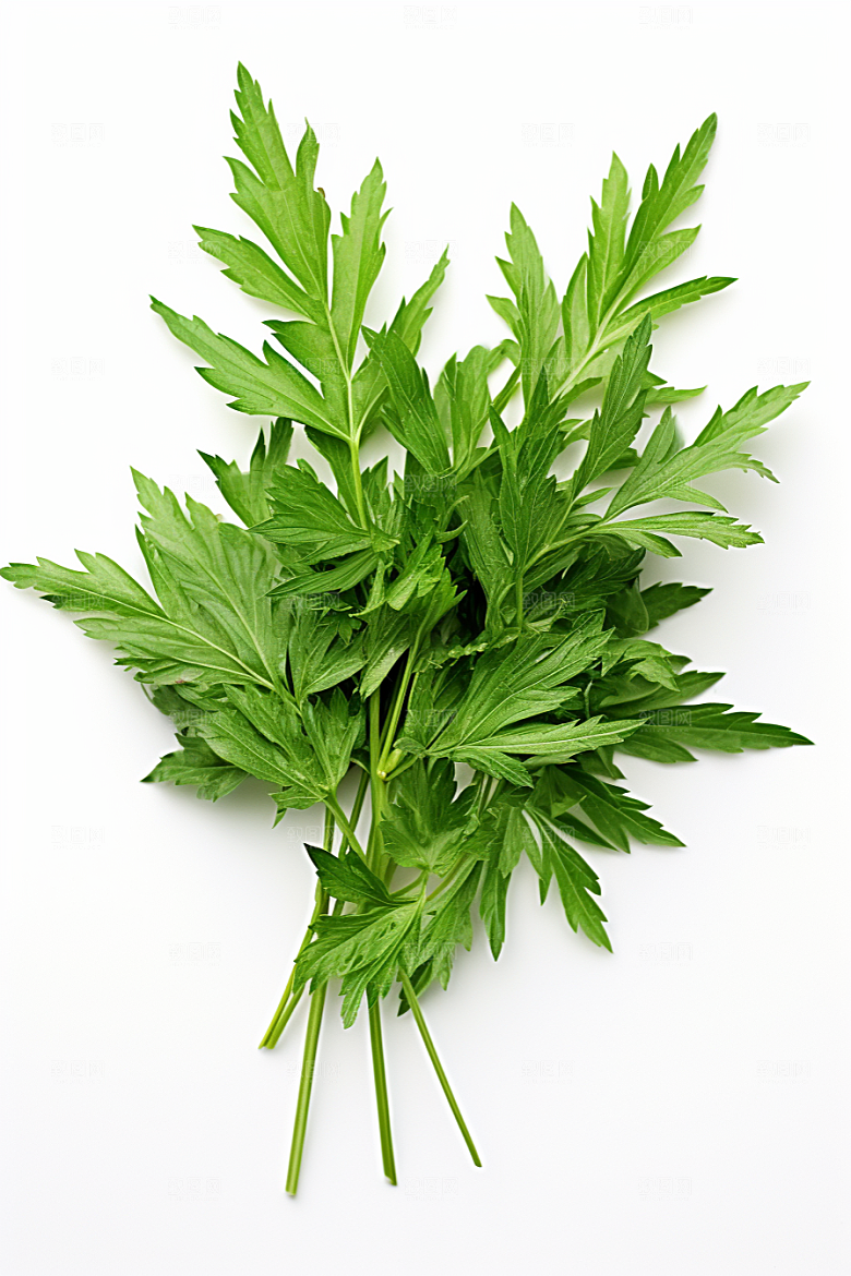 艾草糯米团蒿草摄影图
