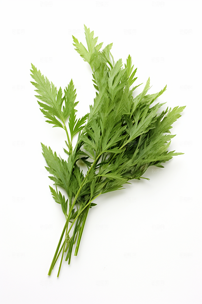 艾草美食传统文化摄影图
