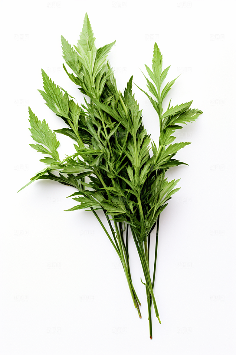 艾草高清美食摄影图