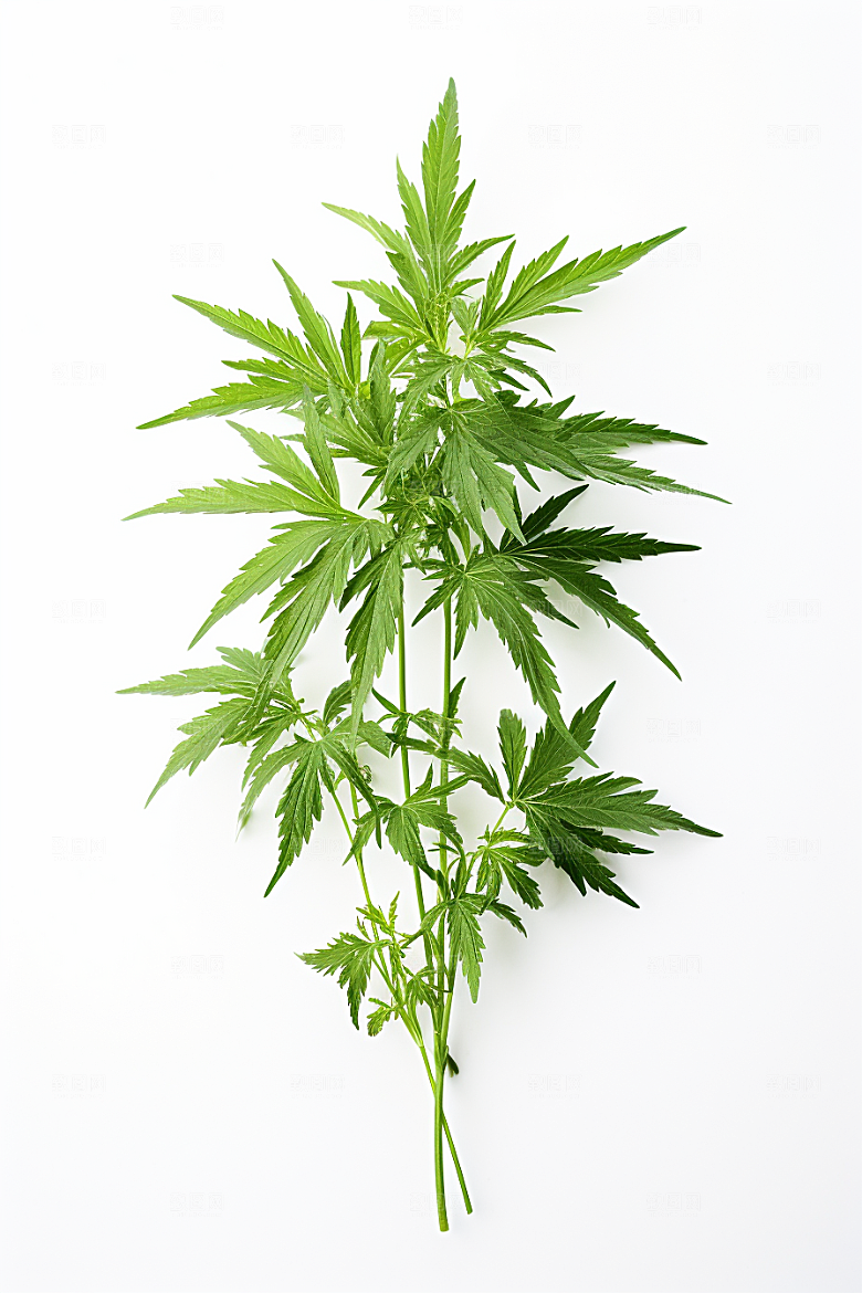 艾草中式糕点高清摄影图