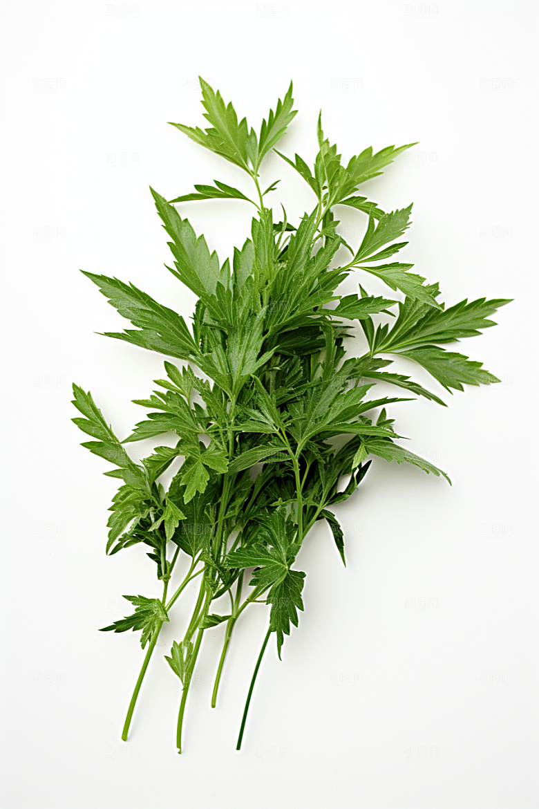 艾草蒿草高清摄影图