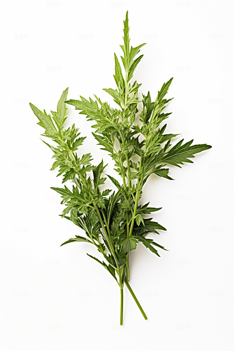 艾草清明美食摄影图
