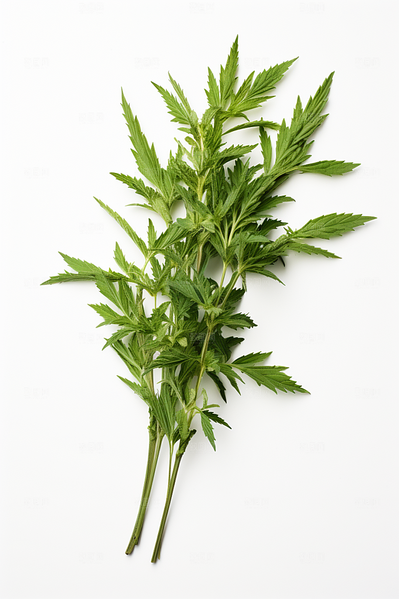 艾草蒿草青团摄影图