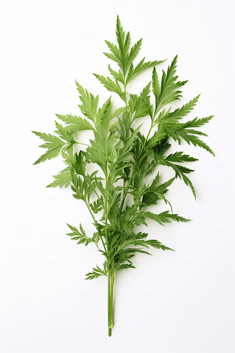 艾草青团美食摄影图