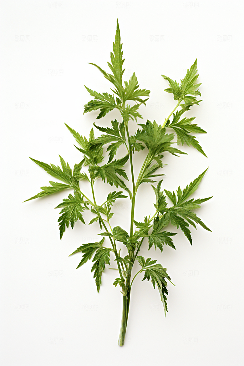 艾草中式糕点糯叽叽摄影图