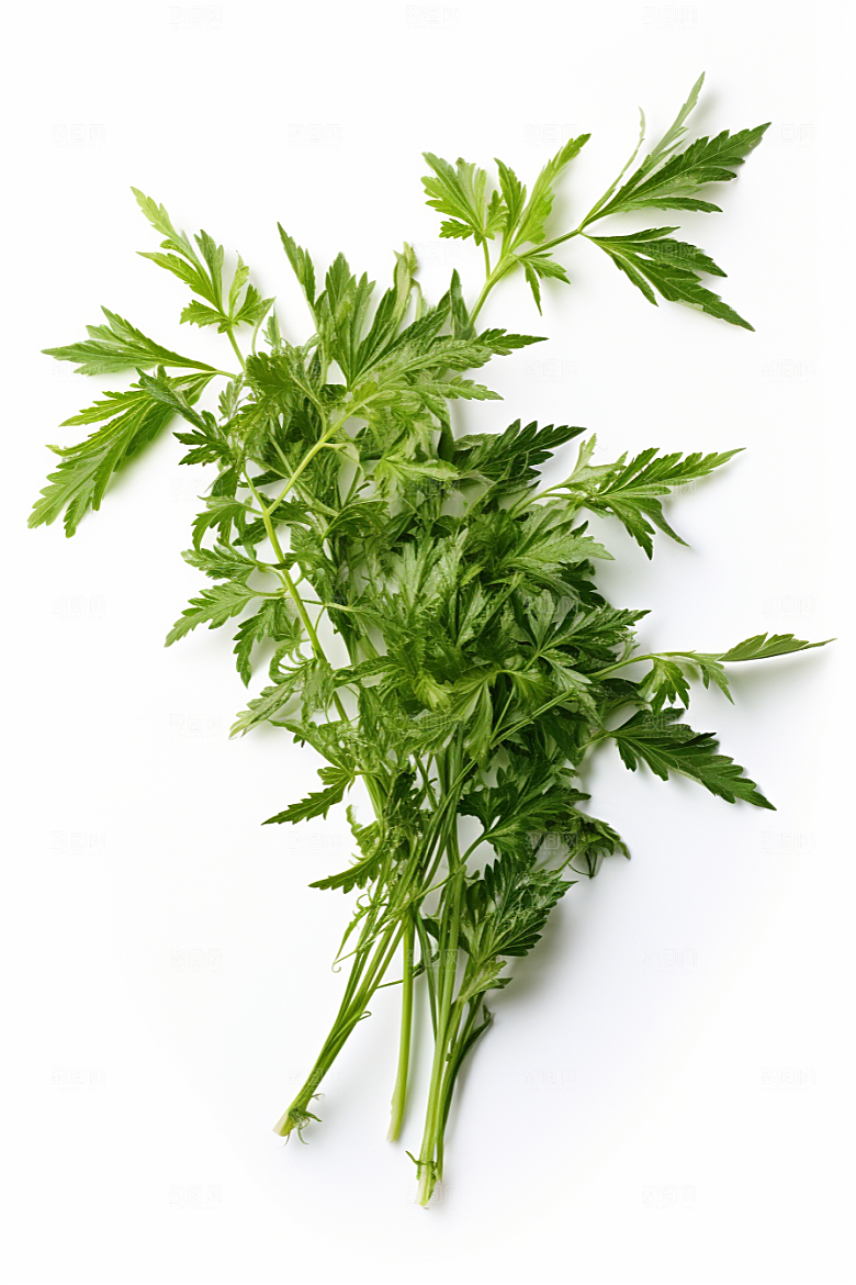 艾草糯米团蒿草摄影图