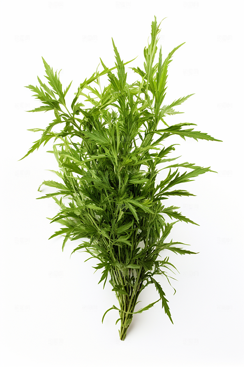 艾草传统文化中式糕点摄影图