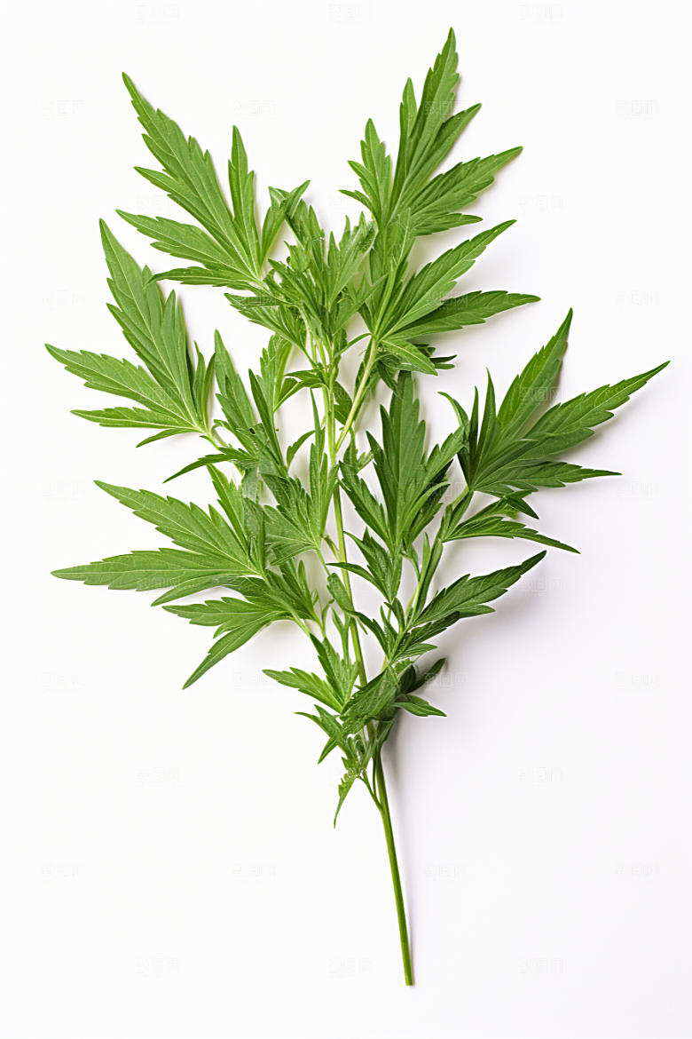 艾草高清糯米团摄影图
