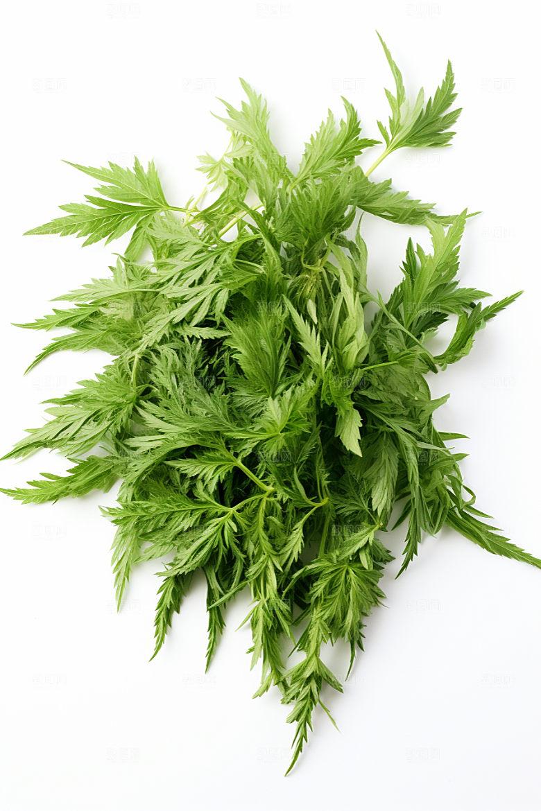 艾草蒿草糯叽叽摄影图