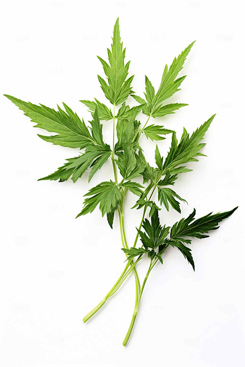 艾草中式糕点传统文化摄影图