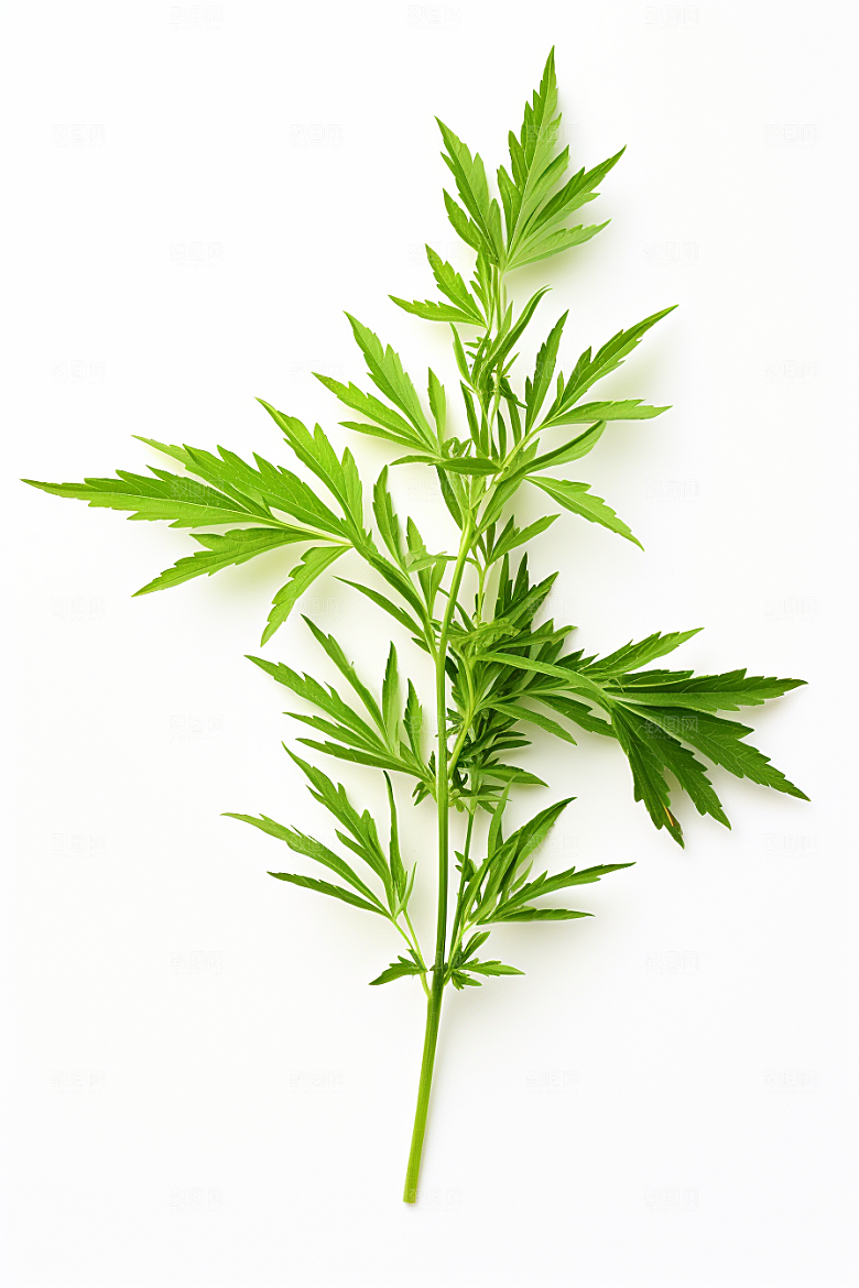 艾草青团高清摄影图