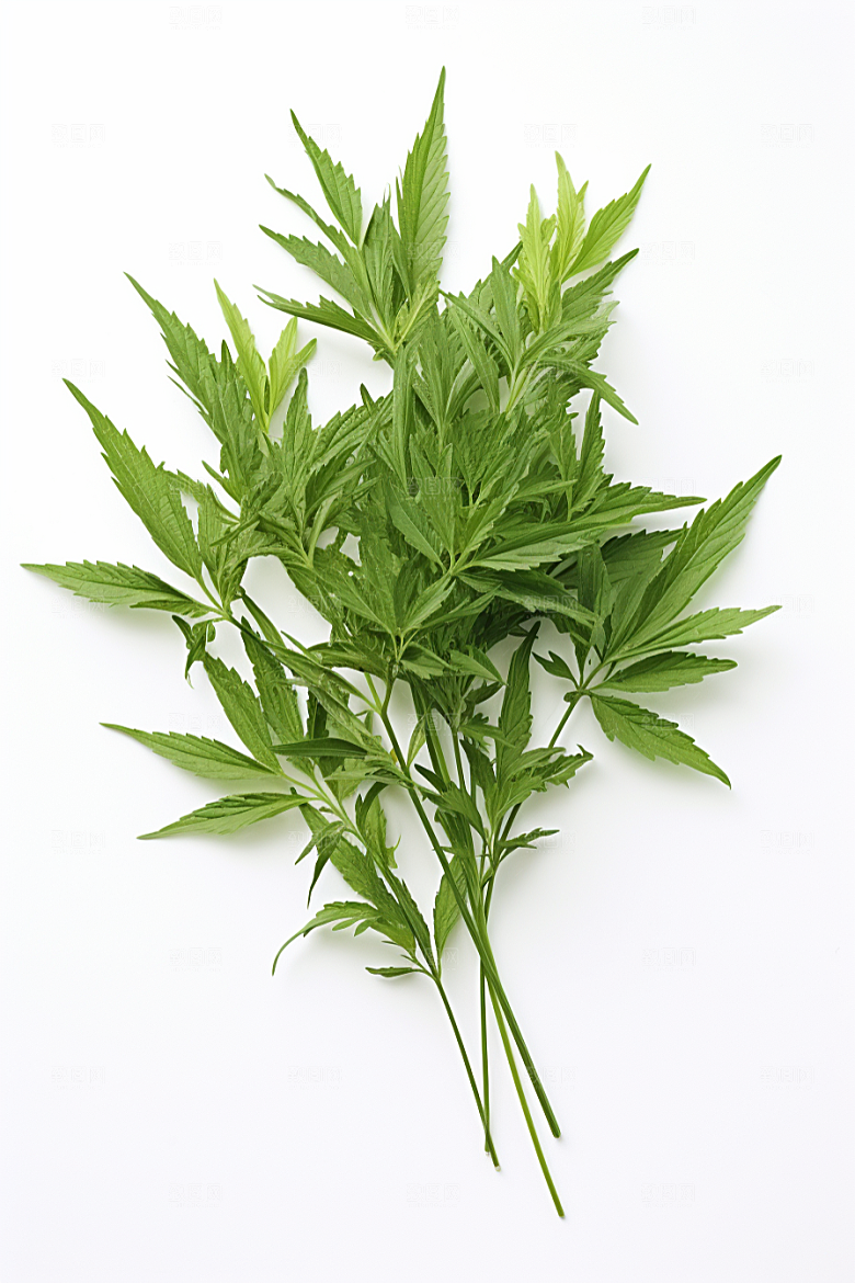 艾草糯叽叽高清摄影图