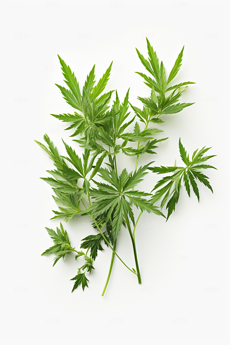 艾草美食清明摄影图