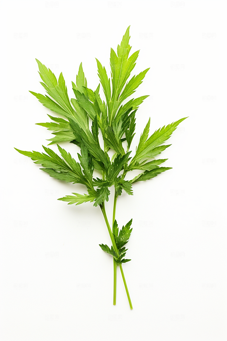 艾草传统文化糯叽叽摄影图