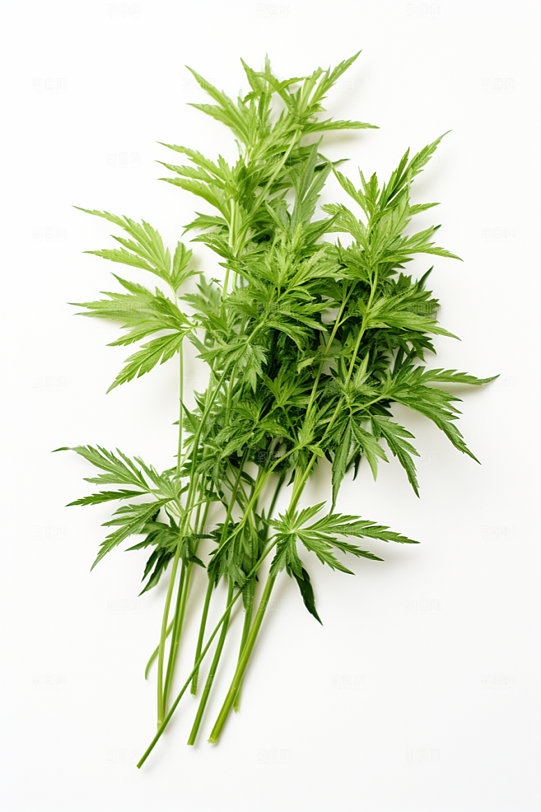 艾草传统文化青团摄影图