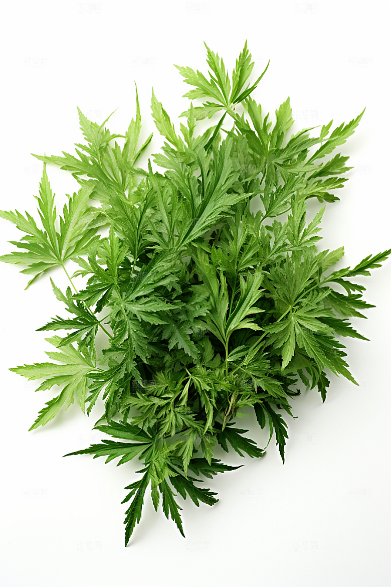 艾草高清美食摄影图