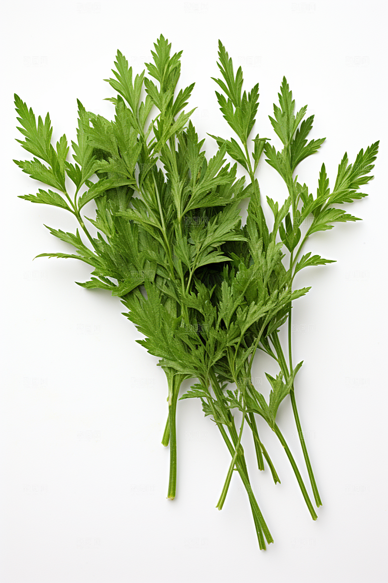 艾草高清美食摄影图