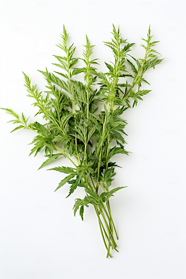 艾草青团蒿草摄影图
