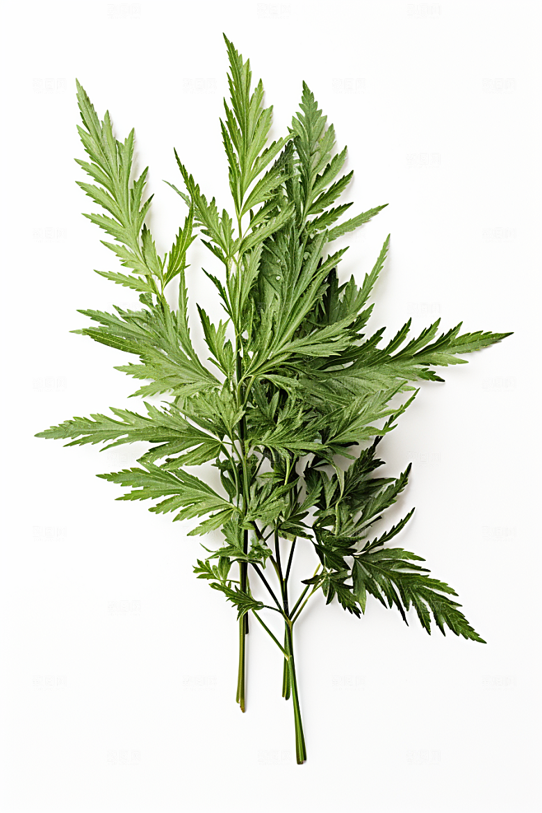 艾草传统文化中式糕点摄影图
