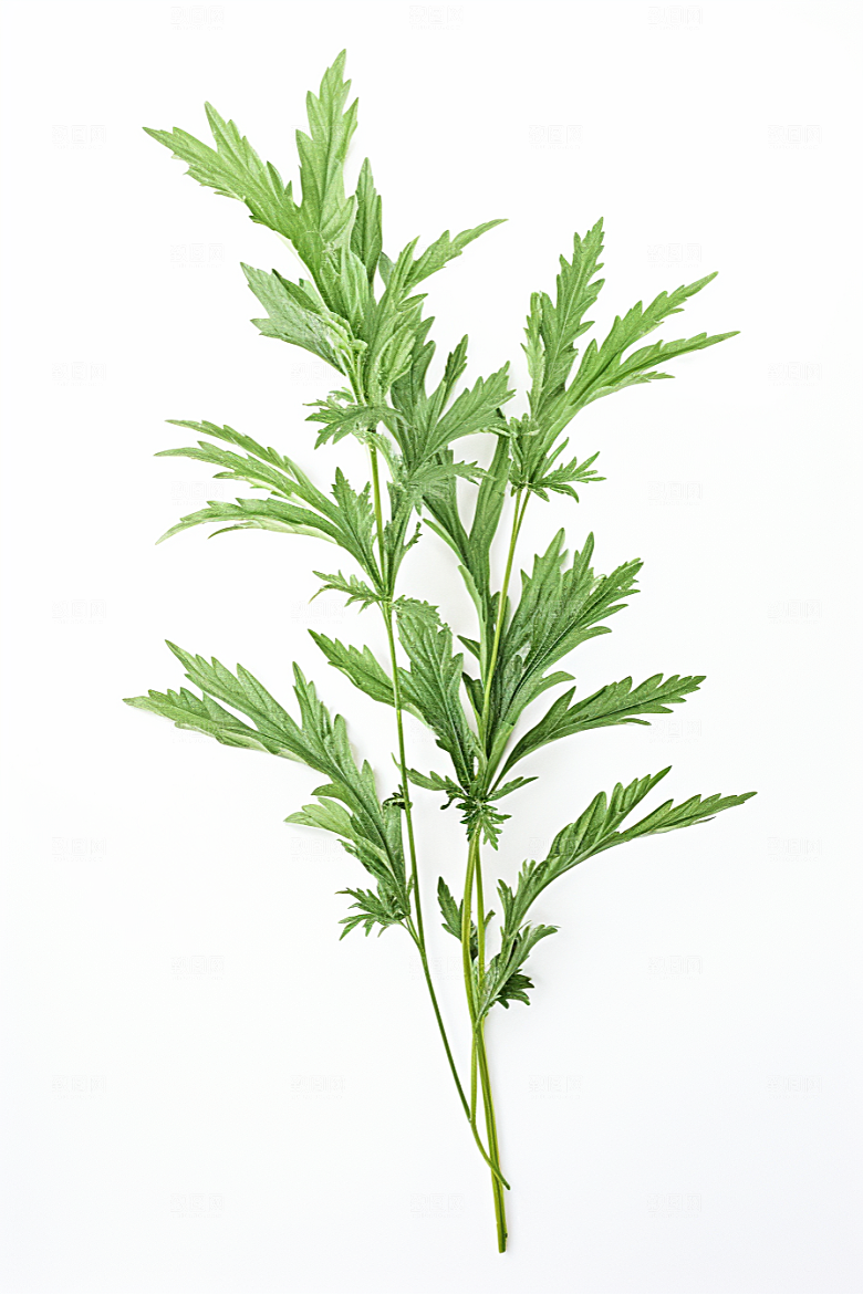 艾草蒿草美食摄影图