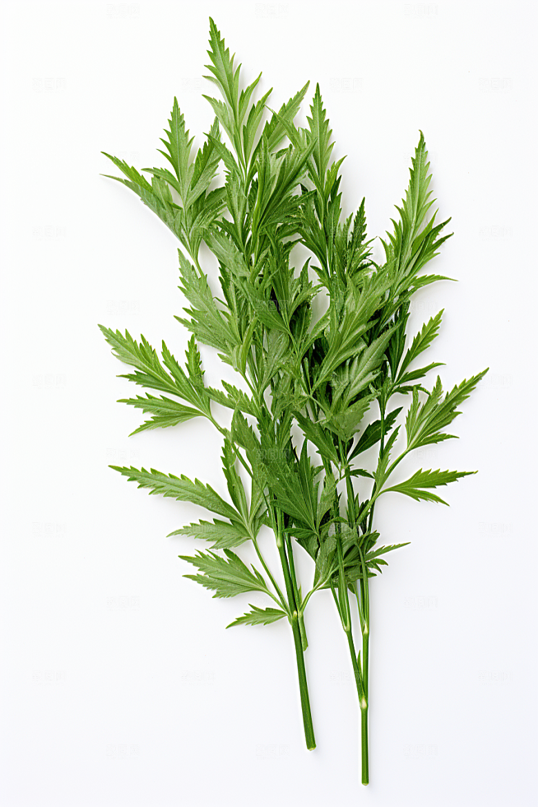 艾草糯米团蒿草摄影图
