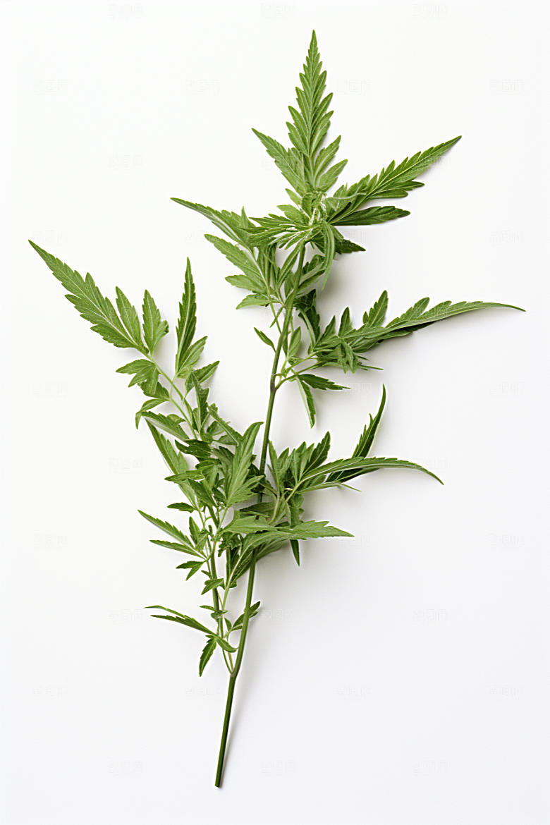 艾草清明糯叽叽摄影图