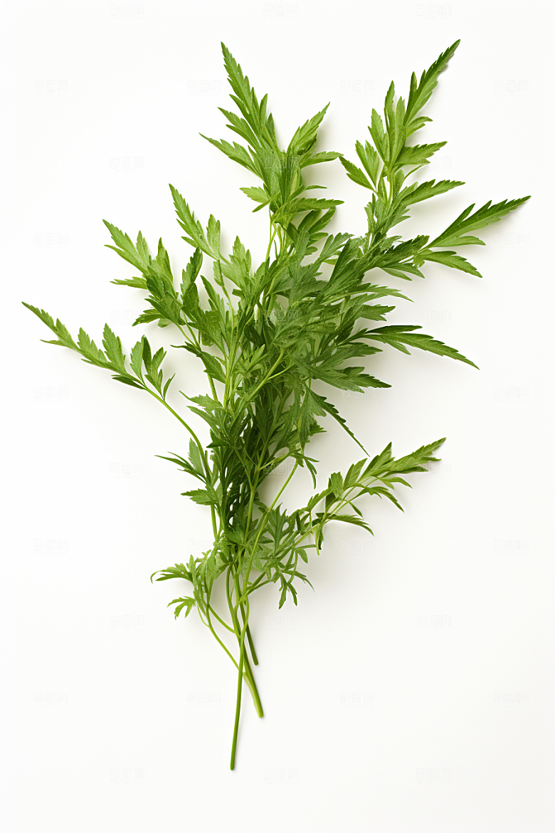 艾草美食糯叽叽摄影图