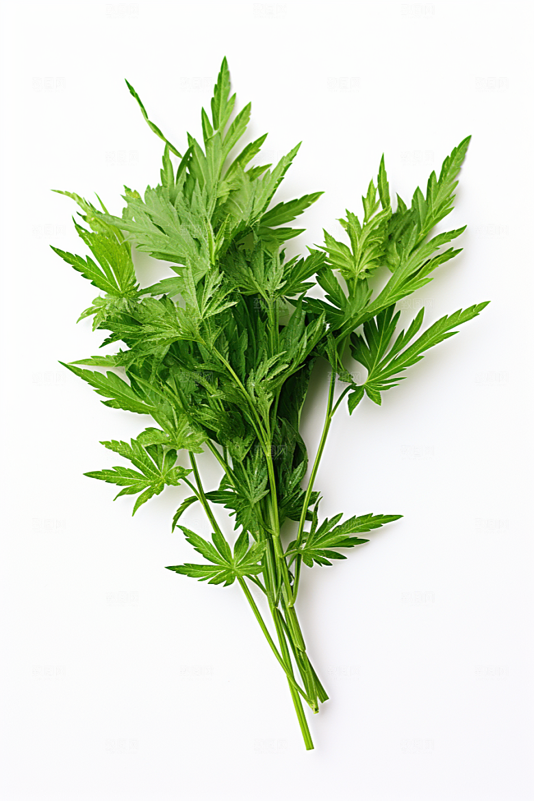 艾草蒿草传统文化摄影图