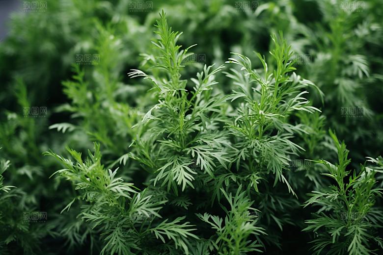 艾草美食清明摄影图