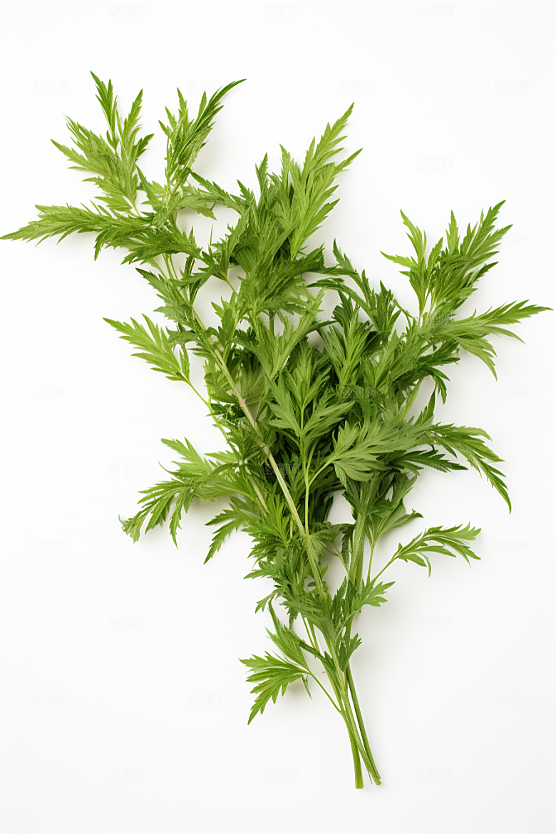 艾草高清传统文化摄影图