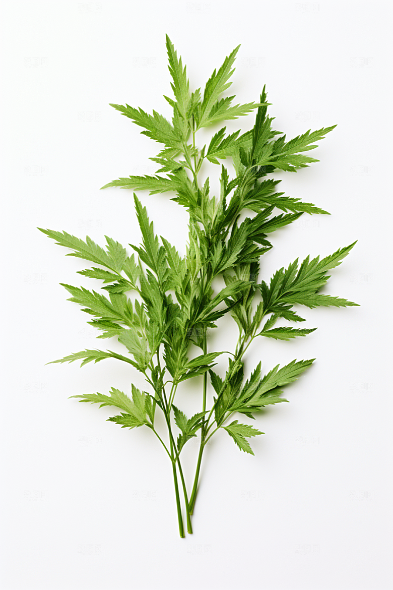 艾草糯米团蒿草摄影图