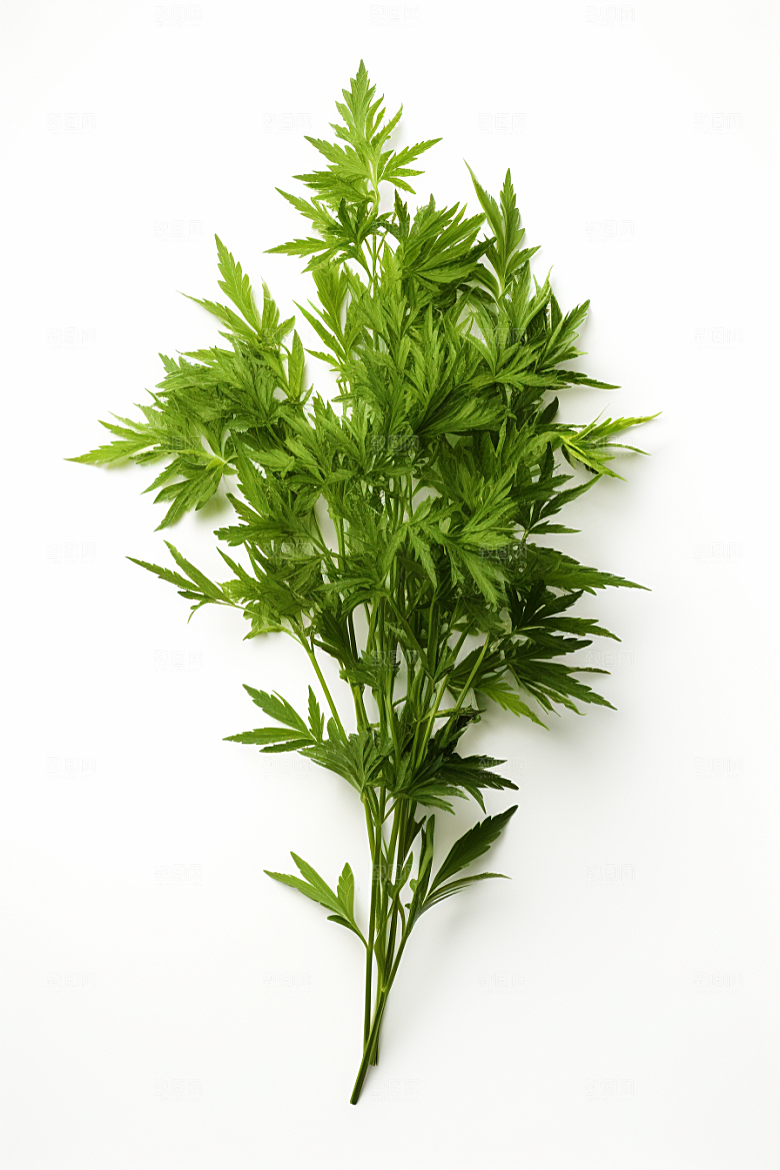 艾草传统文化美食摄影图
