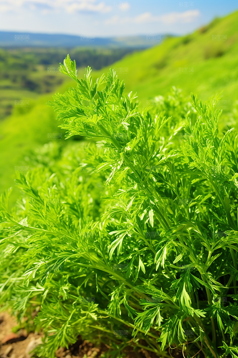 艾草糯米团清明摄影图