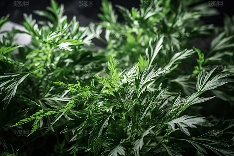 艾草美食清明摄影图