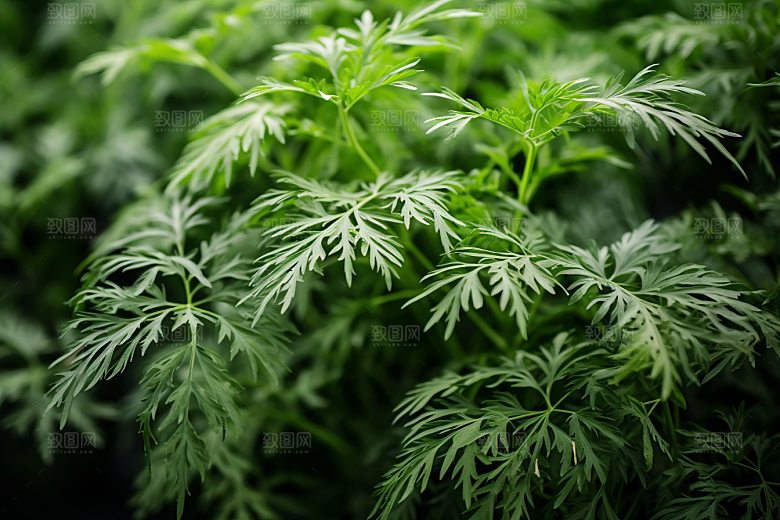 艾草艾叶青团摄影图