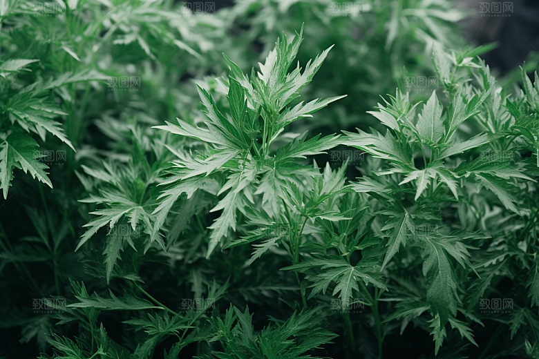 艾草糯叽叽美食摄影图