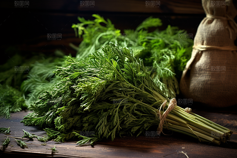 艾草艾叶高清摄影图