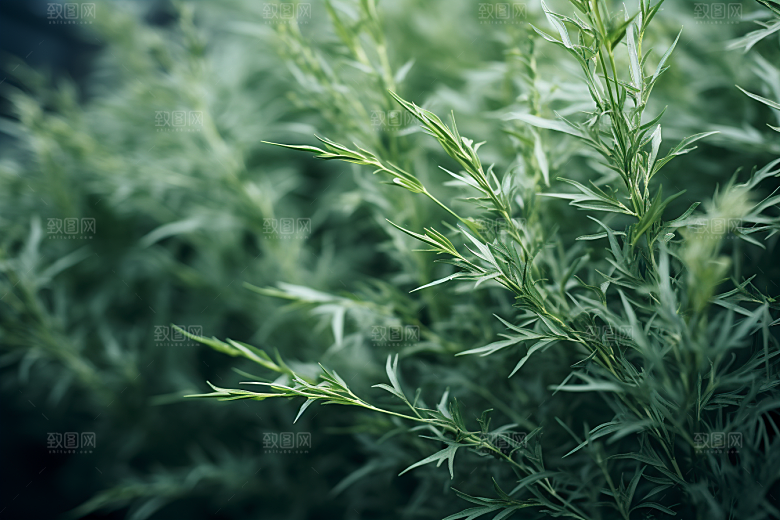 艾草传统文化中式糕点摄影图