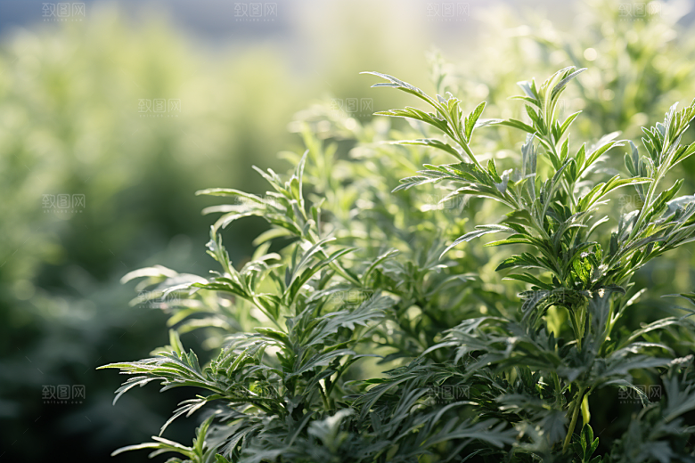 艾草糯米团糯叽叽摄影图