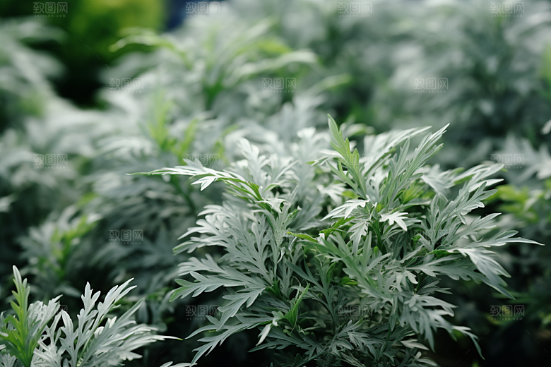 艾草蒿草中式糕点摄影图