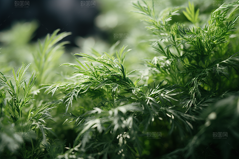 艾草糯叽叽美食摄影图