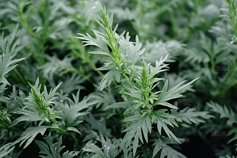 艾草中式糕点美食摄影图